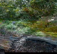 Browns Forest Loop Trail - Lightning Ridge Tourism