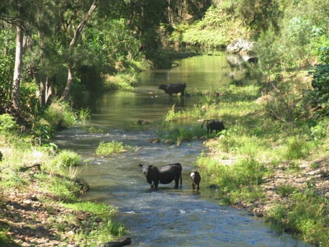 Chillingham - Lightning Ridge Tourism 1