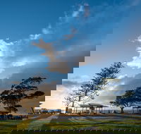 Cleveland Nandeebie/Indillie - Lightning Ridge Tourism
