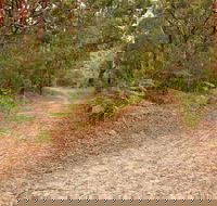 Daleys Point Walking Track - Lightning Ridge Tourism