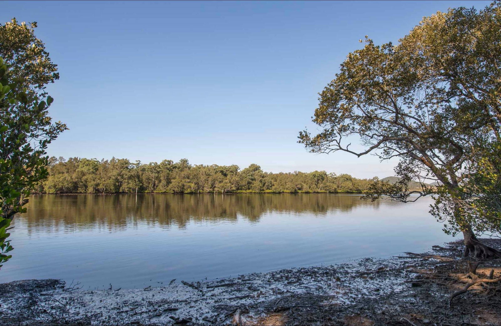 Limeburners Creek NSW Lightning Ridge Tourism