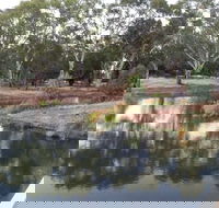 Green Corridor Walking Track - Lightning Ridge Tourism