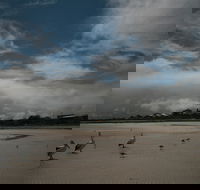 Hardwicke Bay - Lightning Ridge Tourism