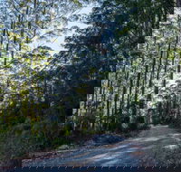 Hastings Forest Way Touring Route - Lightning Ridge Tourism