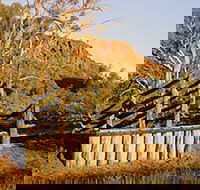 Illamurta Springs Conservation Reserve - Lightning Ridge Tourism