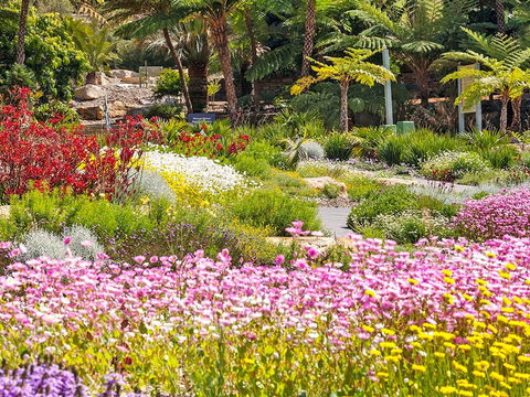 Jurassic Garden AR Experience - Lightning Ridge Tourism 0