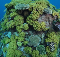 Keeper Reef Dive Site - Lightning Ridge Tourism