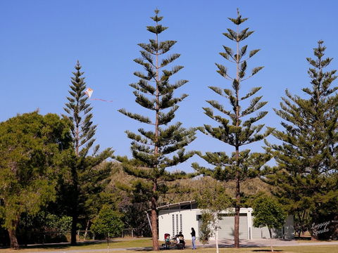 Kurrawa Park - Lightning Ridge Tourism 0