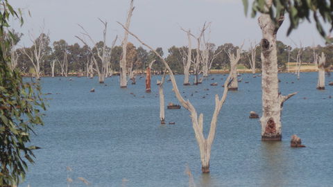 Lake Mulwala - Lightning Ridge Tourism 2