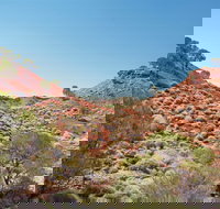 Lark Quarry Conservation Park - Lightning Ridge Tourism