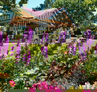 Laurel Bank Park - Lightning Ridge Tourism