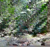Lyrebird track - Lightning Ridge Tourism