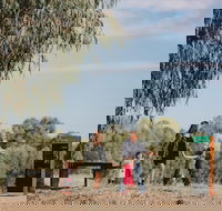 Marrambidya Wetland - Lightning Ridge Tourism