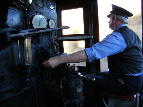 Mary Valley Rattler - Lightning Ridge Tourism 2