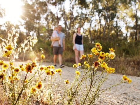 Nail Can Hill - Lightning Ridge Tourism 0