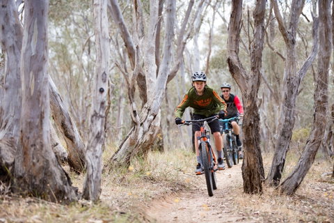 Nail Can Hill - Lightning Ridge Tourism 1