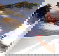 Neale Joseph Fine Art Gallery - Lightning Ridge Tourism