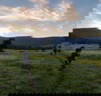 Numinbah Valley Adventure  Camping - Lightning Ridge Tourism