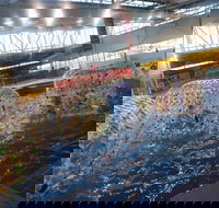 Oasis Regional Aquatic Centre - Lightning Ridge Tourism