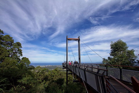 Orara East State Forest - Lightning Ridge Tourism 0