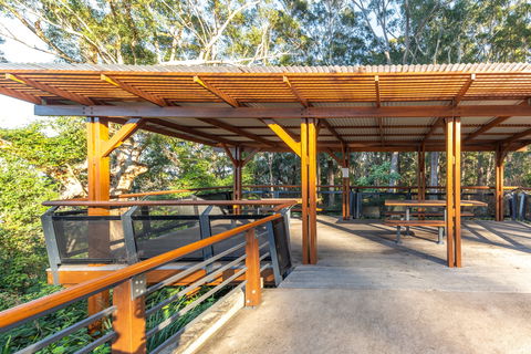 Orara East State Forest - Lightning Ridge Tourism 1