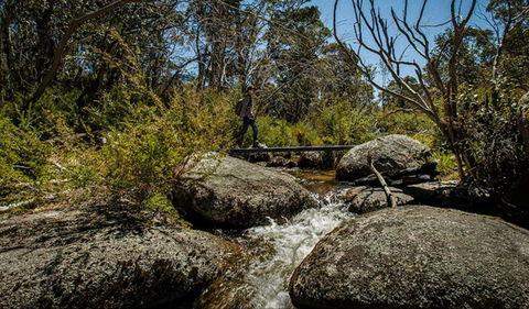 Pallaibo Walking Track - Lightning Ridge Tourism 0