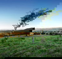 Ravensbourne National Park - Lightning Ridge Tourism