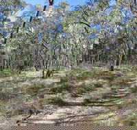 Reef Hills State Park - Lightning Ridge Tourism