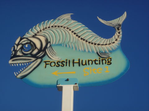 Richmond Fossil Hunting Sites - Lightning Ridge Tourism 1