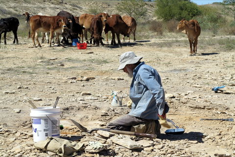 Richmond Fossil Hunting Sites - Lightning Ridge Tourism 2