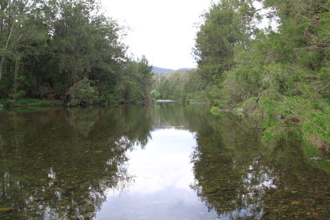 Riverside Campground And Picnic Area - Lightning Ridge Tourism 0