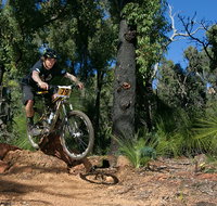 Scorpion Trail Kalamunda Mountain Bike Trails - Lightning Ridge Tourism