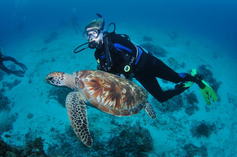 Second Reef Dive Site - Lightning Ridge Tourism 0