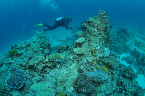 Second Reef Dive Site - Lightning Ridge Tourism 1
