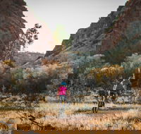 Simpsons Gap Bicycle Path - Lightning Ridge Tourism
