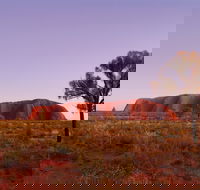 Sunrise Viewing Area Talinguru Nyakunytjaku - Lightning Ridge Tourism