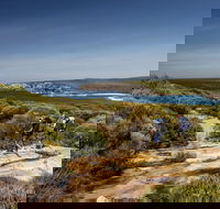 The Coast track - Lightning Ridge Tourism