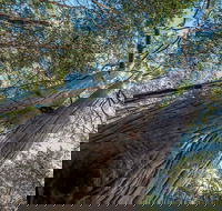 Wallumatta Nature Reserve - Lightning Ridge Tourism