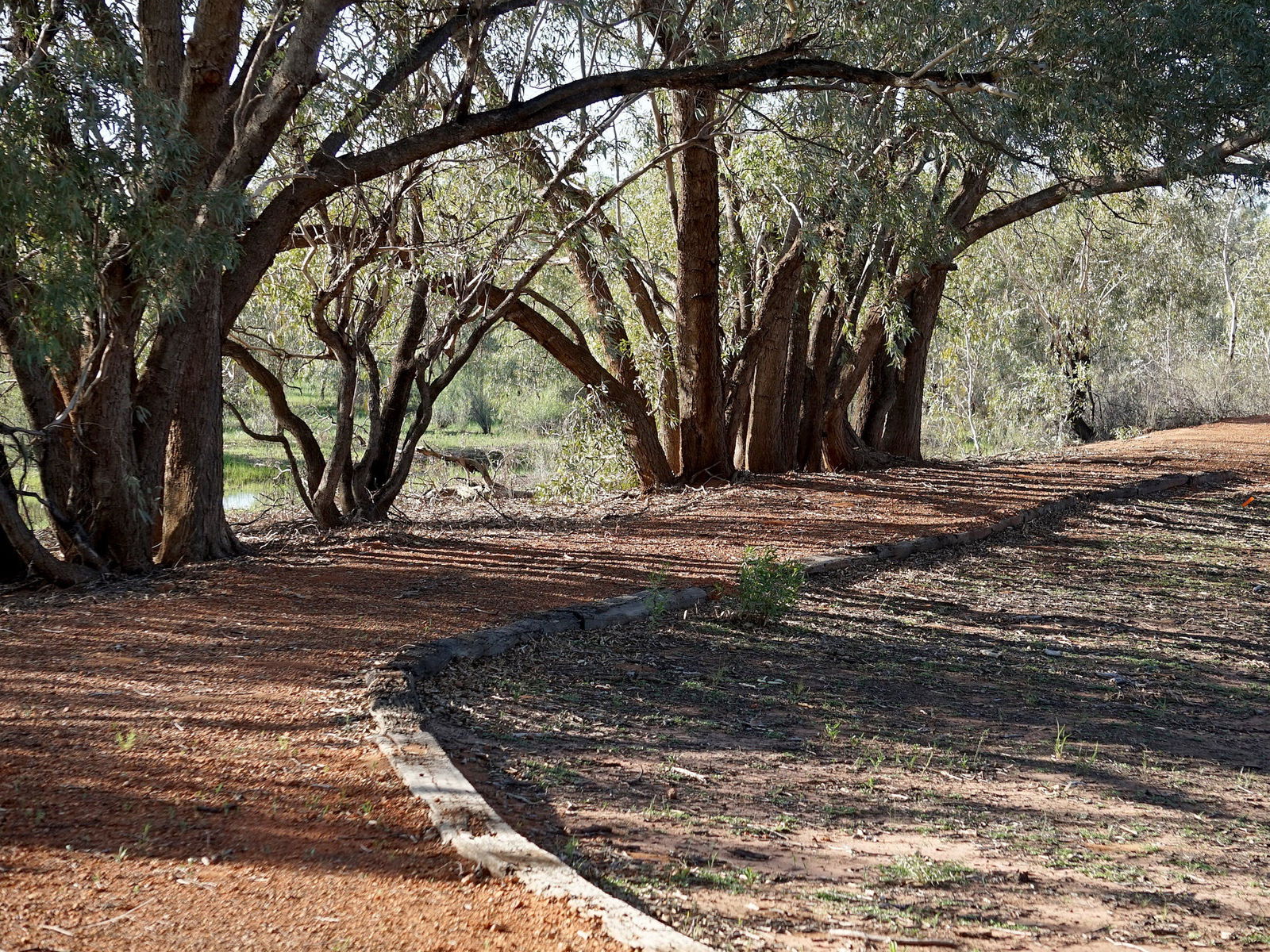 Louth NSW Lightning Ridge Tourism