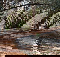 Warrego Floodplain walking track - Lightning Ridge Tourism