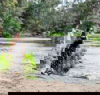 Warrandyte River Reserve - Lightning Ridge Tourism