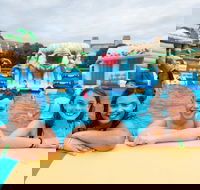 Waterworld Central - Mobile Inflatable Waterpark - Lightning Ridge Tourism