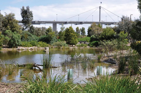 Westgate Park - Lightning Ridge Tourism 2