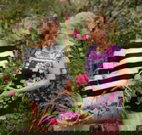 White Cottage - Lightning Ridge Tourism