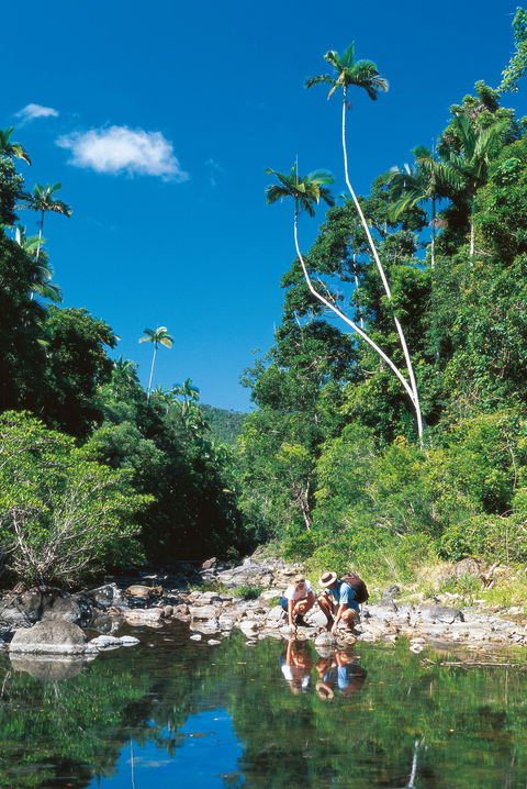 Airlie Beach To Cedar Creek Falls - Lightning Ridge Tourism 1