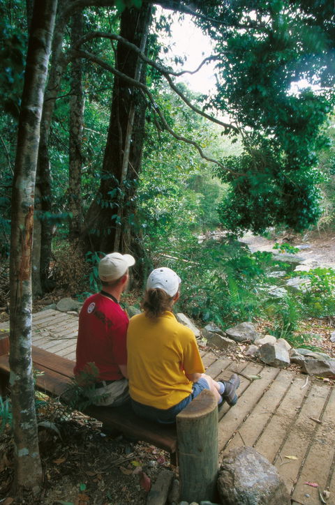 Airlie Beach To Cedar Creek Falls - Lightning Ridge Tourism 2
