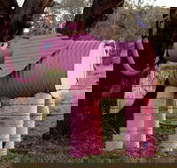 Animals on Bikes - Lightning Ridge Tourism