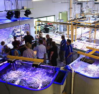 Australian Institute of Marine Science - Lightning Ridge Tourism
