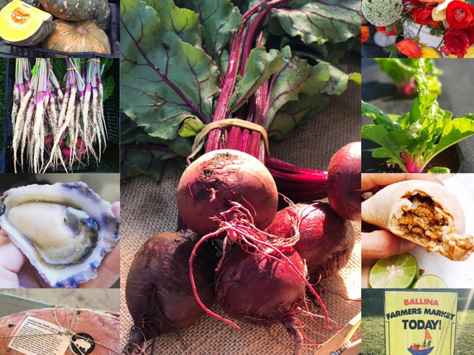  Lightning Ridge Tourism