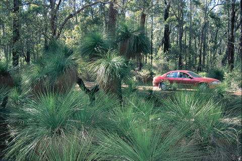 Blackwood River Tourist Drive - Lightning Ridge Tourism 2